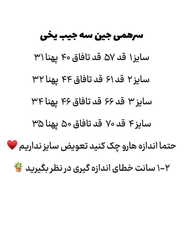 سرهمی جین سه‌جیب یخی - Image 4